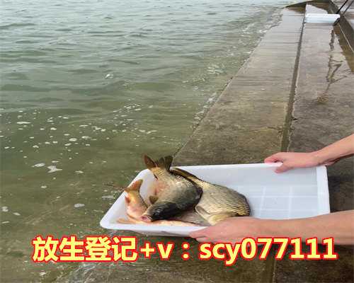 重庆哪里有买放生鱼的