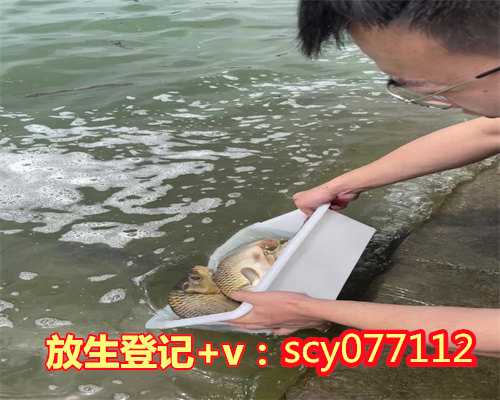 野生动物放生柳州,柳州哪里可以放生金鱼的【柳州放生鱼类哪里好】