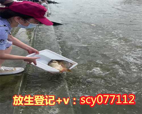 广州公园放生红鲤鱼，