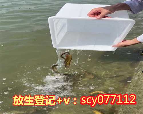 贵州哪里可以放生鱼，贵州圣经学校获国家宗教局批准