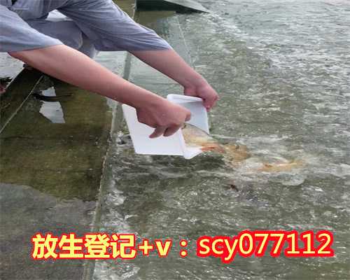 南京可以放生鱼的寺庙