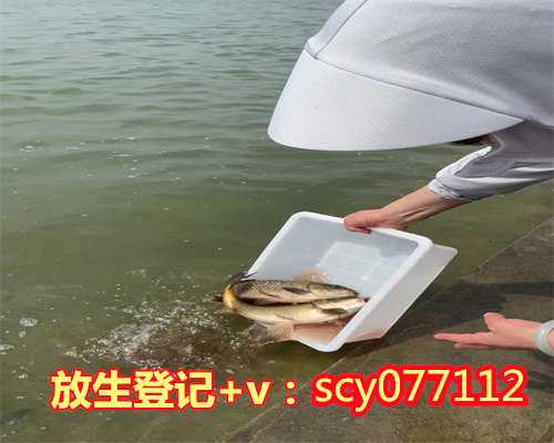 潮州放生蛙的功德,潮州市区哪里可以放生小红鱼,潮州怎么放生草龟