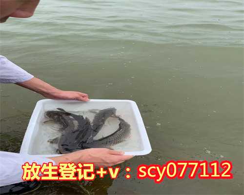 广州公园放生淡水鱼，