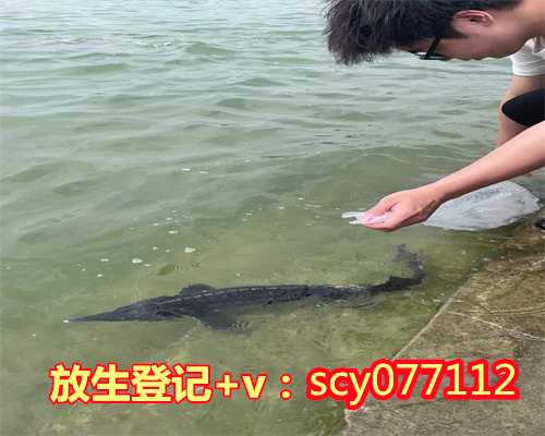 杭州哪里放生鱼最安全